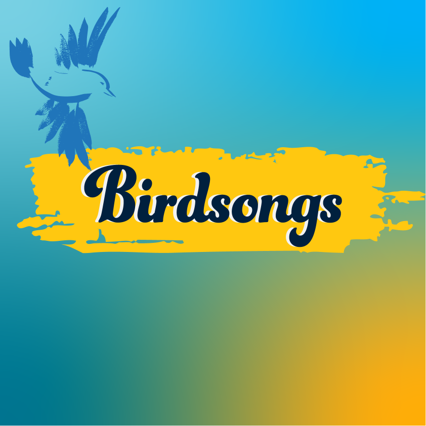 Birdsongs natural atmosphere channel